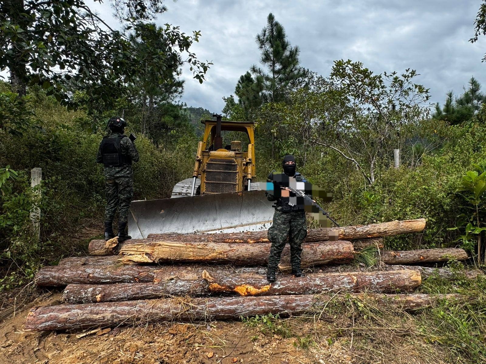 Gobierno fortalece la protección de los bosques con inspecciones forestales en Santa Bárbara bajo ...